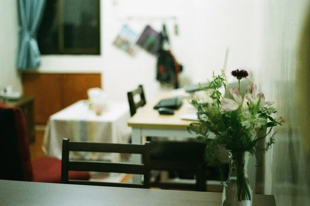 Photo restaurant interior and food photography